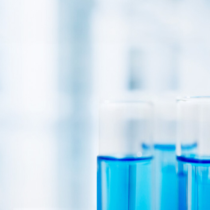 S36沙龙会 - 要玩就玩沙龙会