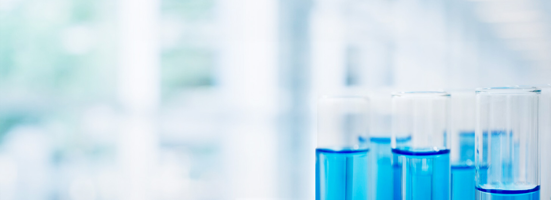 S36沙龙会 - 要玩就玩沙龙会