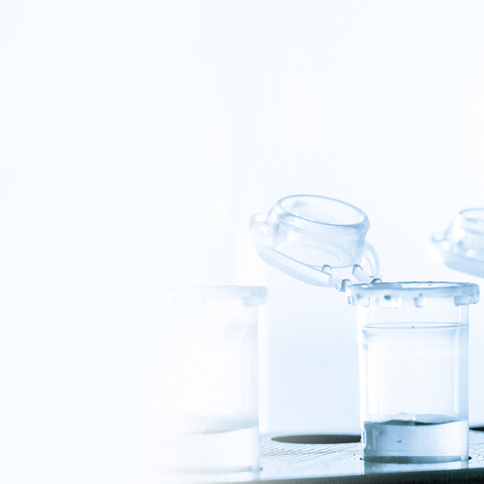 S36沙龙会 - 要玩就玩沙龙会