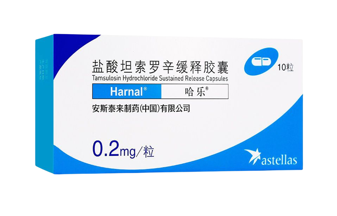 S36沙龙会 - 要玩就玩沙龙会